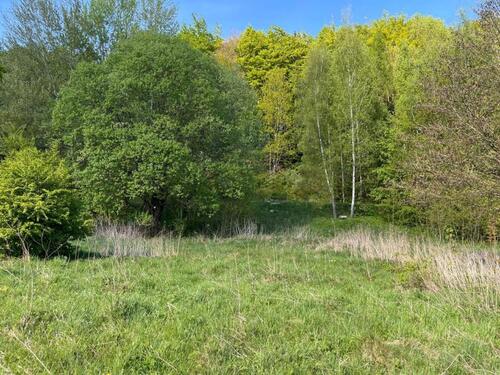 Foto - Grundstück in Brotterode-Trusetal zur Miete