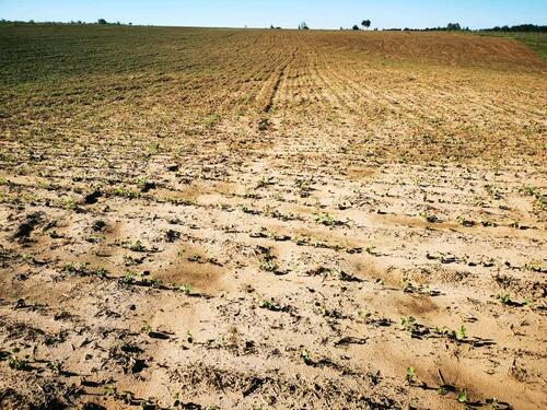 Foto - andere zur Miete in Speyer