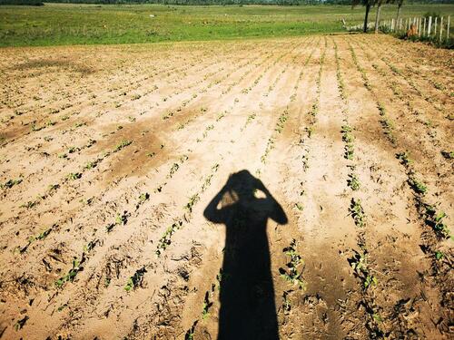 Foto - andere in Speyer