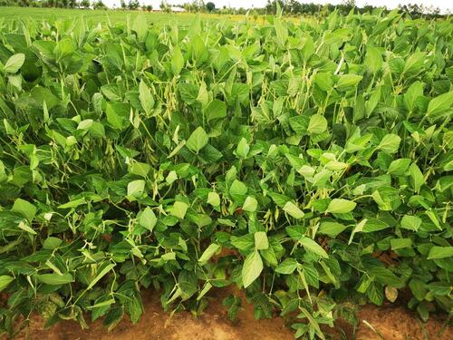 Foto - andere in Speyer zur Miete