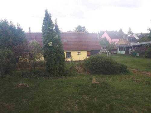 Foto - 3 Zimmer Einfamilienhaus in Hecklingen