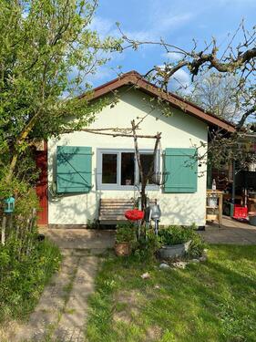 Foto - Kleingarten KGV Giesewiesen, Nähe AustadionBuga