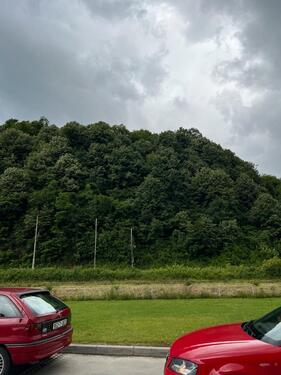Foto - Einfamilienhaus zum Kaufen in München