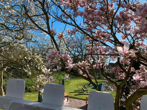 Foto - Apartment zu vermieten - 850,00&nbsp;EUR Kaltmiete, ca.&nbsp; 35,00&nbsp;m&sup2;