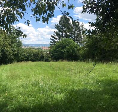 Foto - Freizeitgrundstücktraumhafte Aussicht f. Bauwagen od. JurteZelt
