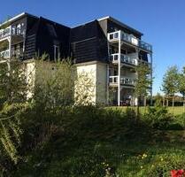 Urlaub für 2 Pers. + Hund im Luxus-Appartment 