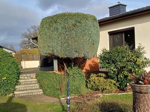 Foto - 5 Zimmer Einfamilienhaus zum Kaufen in Bad Sülze