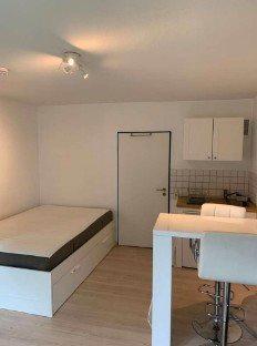 Foto - Erdgeschoßwohnung in Freiburg im Breisgau zur Miete