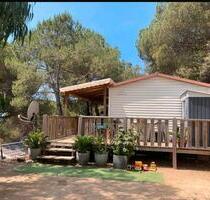 Tiny Haus aus gesundheitlichen Gründen zu verkaufen - München Am Hart