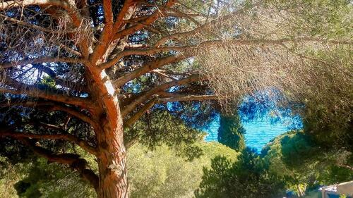 Foto - 2 Zimmer Einfamilienhaus zum Kaufen in München