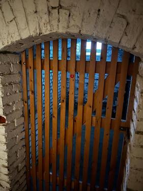 Foto - Geräumiger Kellerraum in Dresden Cotta