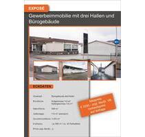 Gewerbeimmobilie mit drei Hallen und Bürogebäude - Boffzen