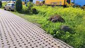 Foto - andere zur Miete in Lindenberg im Allgäu