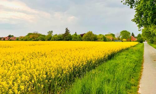 Foto - Baureifes Ackerland (ca. 1 Hektar) in Niedersachsen