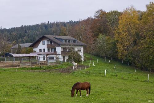 Foto - 