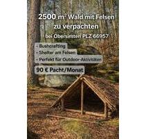 Wald mit Felsen 2500m2 in Obersimten, Eldorado für Bushcraft,.., - Ruppertsweiler