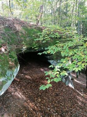 Foto - Grundst&uuml;ck zur Miete in Ruppertsweiler