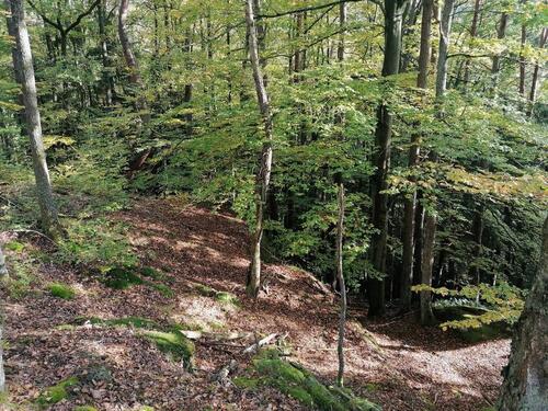 Foto - Grundst&uuml;ck in Ruppertsweiler