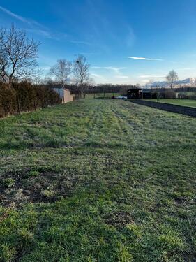 Foto - Einfamilienhaus zum Kaufen in Dessau-Roßlau