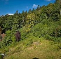 Ferienwohnung NEU in Bad Wildbad wunderschöner Ausblick