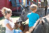 Foto - Familienferien im Blockbohlenhaus – Entdecken Sie die Ostsee mit