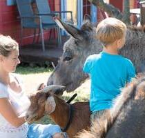 Familienferien im Blockbohlenhaus – Entdecken Sie die Ostsee mit - Lubmin