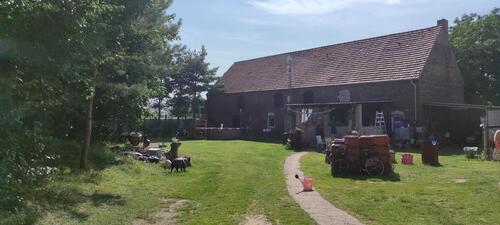 Foto - Einfamilienhaus zum Kaufen in Genthin