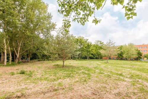 Foto - Gewerbe-Grundstück am Teltowkanal - Vermietung