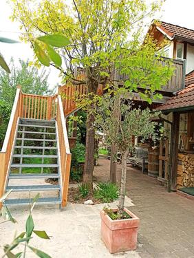 Foto - Biete eine neu renovierte und möblierte Wohnung zur Miete