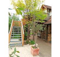 Biete eine neu renovierte und möblierte Wohnung zur Miete - Kreuzwertheim