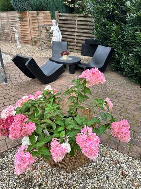 Foto - andere in Schöningen zur Miete