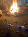 Foto - andere zur Miete in Nürtingen