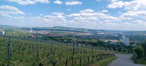 Foto - WG Zimmer in ruhiger Lage - 450,00 EUR Kaltmiete,