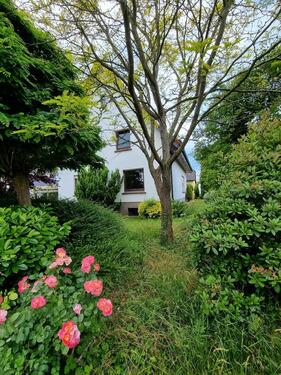 Foto - 3 Zimmerwohnung - 700,00 EUR Kaltmiete,