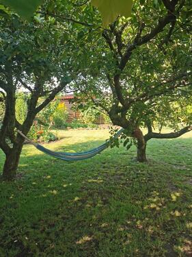Foto - Grundst&uuml;ck zur Miete in Lübbenau (Spreewald)