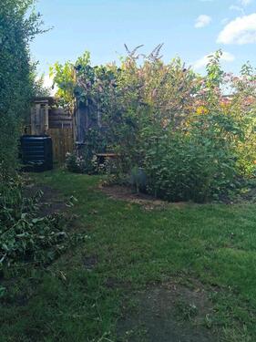 Foto - Grundst&uuml;ck in Lübbenau (Spreewald) zur Miete