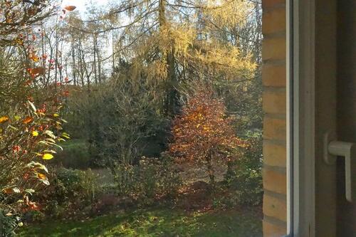 Foto - 10 Zimmer Einfamilienhaus in Metelen