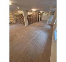 Raum, Lagerraum, Werktatt, Hobbyraum, Atelier - Velden