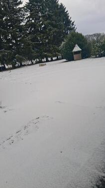 Foto - Haus in schöner Lage. Augustdorf.