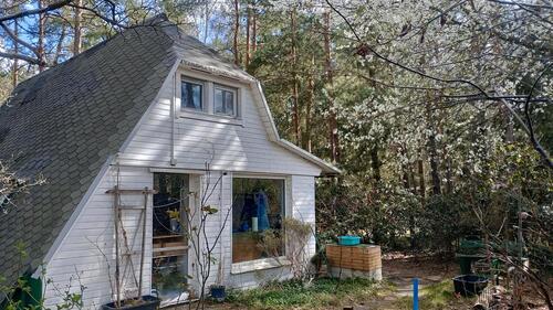 Foto - Waldgrundstrück mit Hütte und Garage