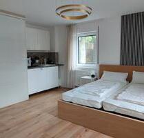 perfektes Appartement für Singles oder Pendler - Marktheidenfeld