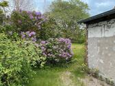 Foto - Einfamilienhaus in Boltenhagen zum Kaufen