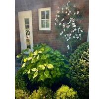 wunderschöne Design Ferienwohnung in Greetsiel - Last Minute - Krummhörn