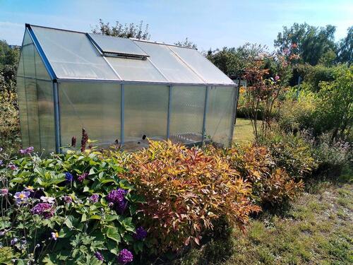 Foto - Pachtgarten - 650,00 EUR Kaltmiete, ca.  0,00 m²