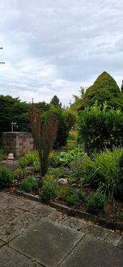 Foto - Grundst&uuml;ck in Apolda