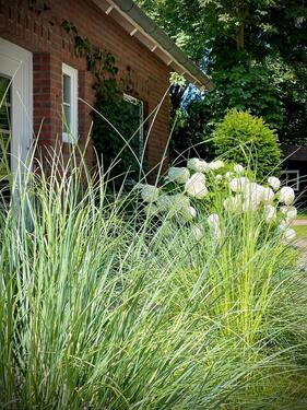 Foto - bezaubernde Ferienwohnung in Greetsiel - Last Minute möglich