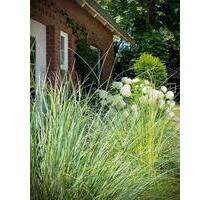 bezaubernde Ferienwohnung in Greetsiel - Last Minute möglich - Krummhörn