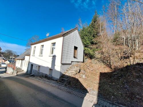 Foto - 6 Zimmer Einfamilienhaus zum Kaufen in Auerbach/Vogtland