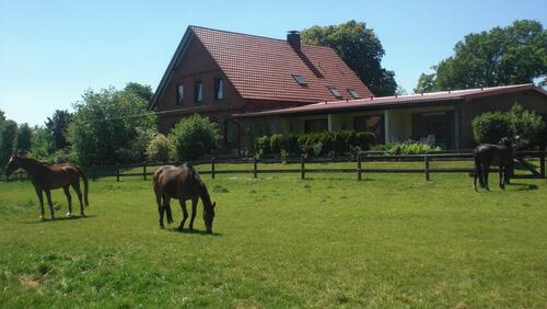 Foto - Etagenwohnung in Altenmedingen