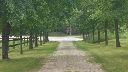 Foto - Etagenwohnung in Altenmedingen zur Miete